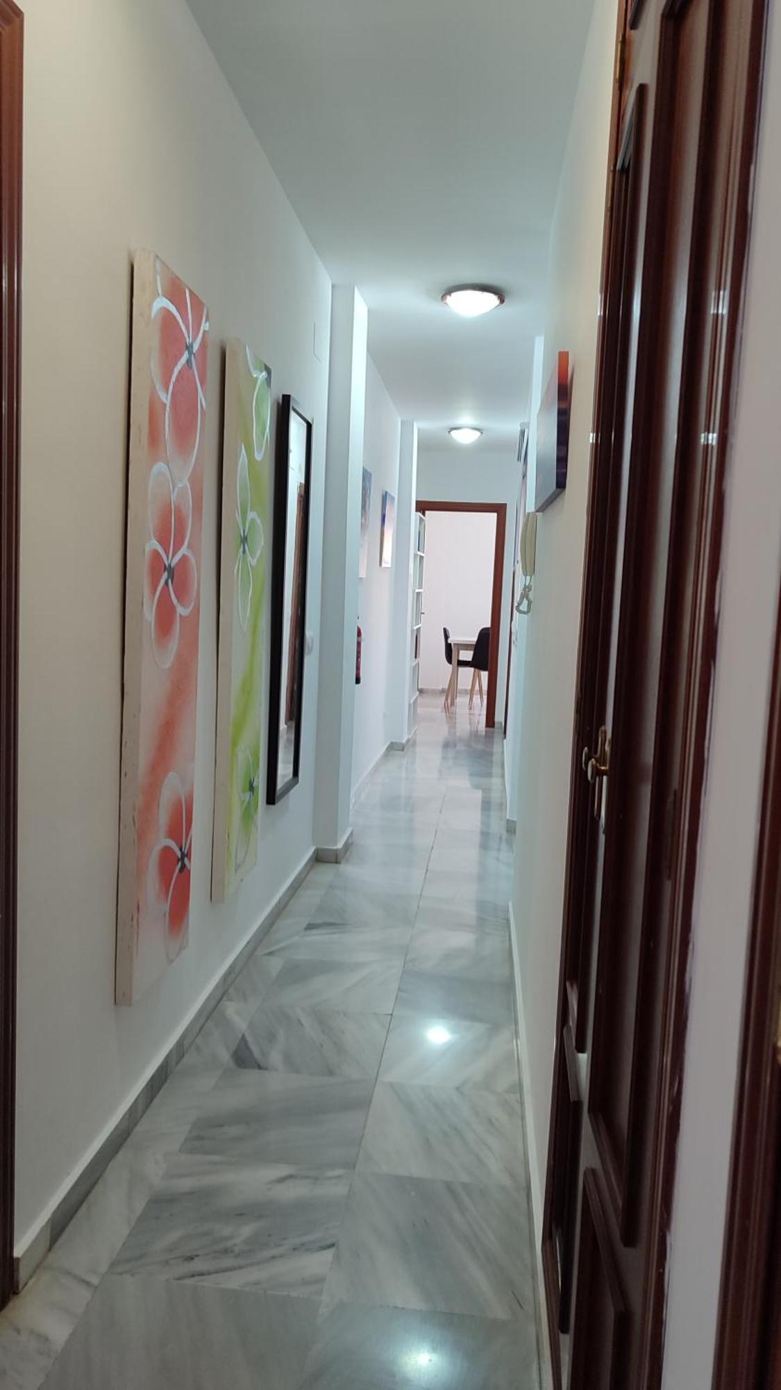 Apartamentos Seneca Junto Al Centro Málaga Extérieur photo